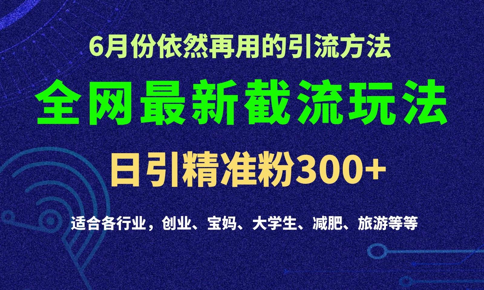 2024全网最新截留玩法，每日引流突破300+-test