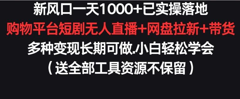 新风口一天1000+已实操落地购物平台短剧无人直播+网盘拉新+带货多种变现长期可做【揭秘】-test