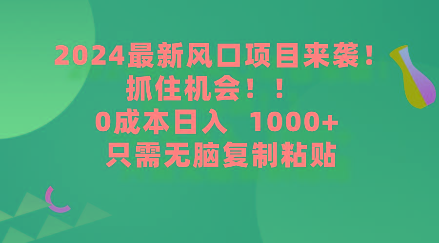 (9899期)2024最新风口项目来袭，抓住机会，0成本一部手机日入1000+，只需无脑复…-test
