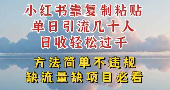 小红书靠复制粘贴单日引流几十人目收轻松过千，方法简单不违规【揭秘】-test