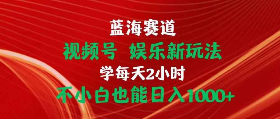 蓝海赛道视频号 娱乐新玩法每天2小时小白也能日入1000+-test