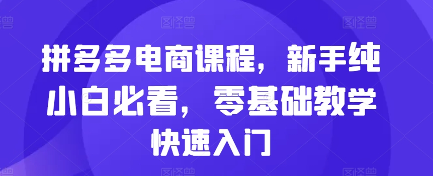 拼多多电商课程，新手纯小白必看，零基础教学快速入门-test