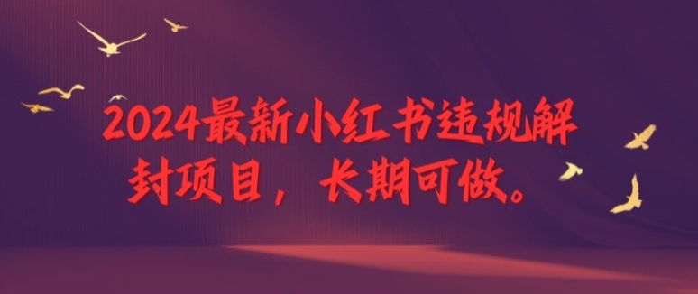 2024最新小红书违规解封项目，长期可做，一个可以做到退休的项目【揭秘】-test