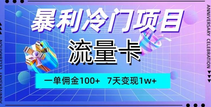 暴利冷门项目，流量卡，一单佣金100+，7天变现1w+-test