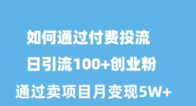 如何通过付费投流日引流100+创业粉月变现5W+-test
