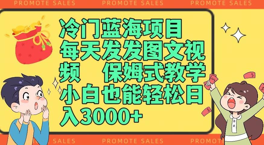冷门蓝海项目，每天发发图文视频，保姆式教学，小白也能轻松日入3000+-test