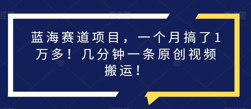 蓝海赛道项目，一个月搞了1万多！几分钟一条原创视频搬运！-test
