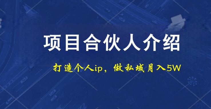项目合伙人项目，打造个人IP，做私域月入5W，小白勿扰-test