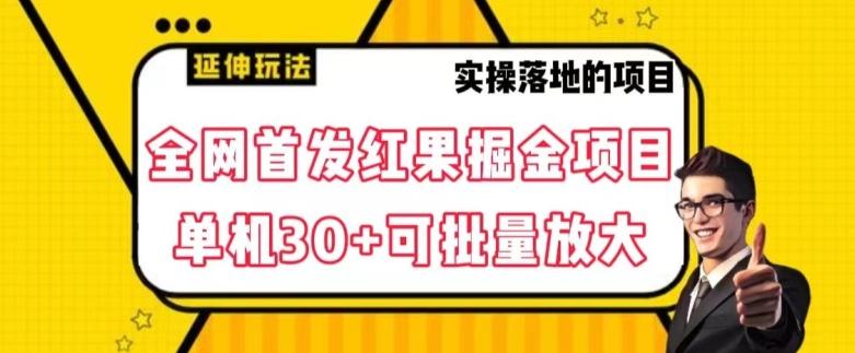 全网首发红果免费短剧掘金项目，单机30+可批量放大【揭秘】-test