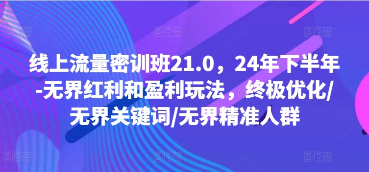 线上流量密训班21.0，24年下半年-无界红利和盈利玩法，终极优化/无界关键词/无界精准人群-test