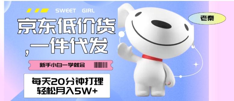 每天20分钟打理京东低价货，一件代发-轻松月入5W＋-test