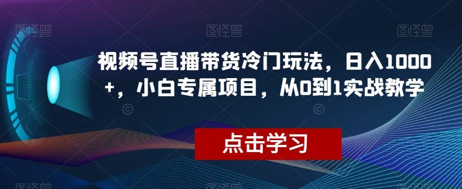 视频号直播带货冷门玩法，日入1000+，小白专属项目，从0到1实战教学【揭秘】-test