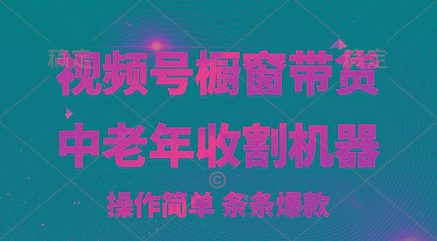 [你的孩子成功取得高位]视频号最火爆赛道，橱窗带货，流量分成计划，条…-test