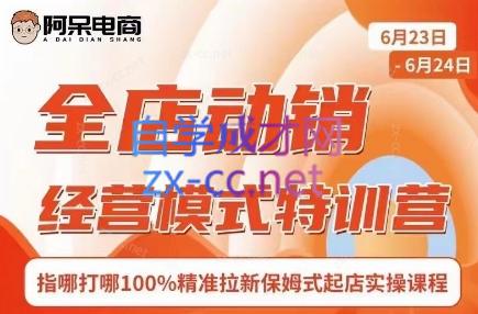 阿呆电商·全店动销经营模式特训营(线下录音+思维导图)-test