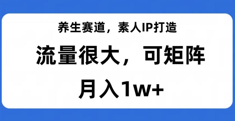 养生赛道，素人IP打造，流量很大，可矩阵，月入1w+【揭秘】-test