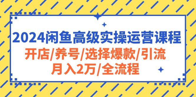 2024闲鱼高级实操运营课程：开店/养号/选择爆款/引流/月入2万/全流程-test
