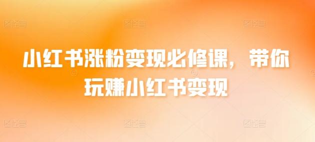 小红书涨粉变现必修课，带你玩赚小红书变现-test
