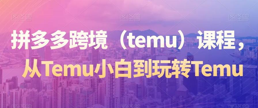 拼多多跨境（temu）课程，从Temu小白到玩转Temu-test
