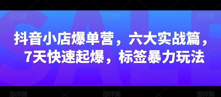 抖音小店爆单营，六大实战篇，7天快速起爆，标签暴力玩法-test