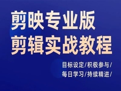 剪映专业版剪辑实战教程，目标设定/积极参与/每日学习/持续精进-test