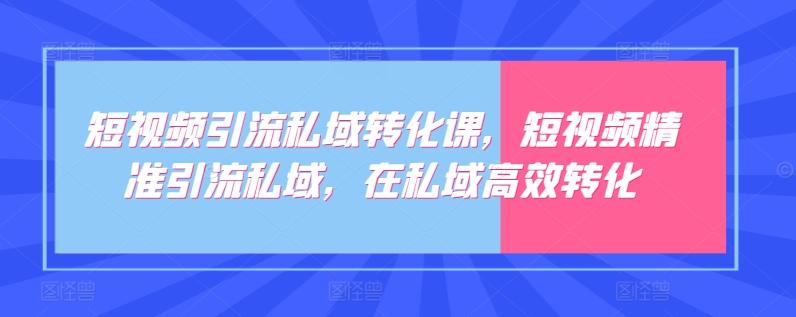 短视频引流私域转化课，短视频精准引流私域，在私域高效转化-test