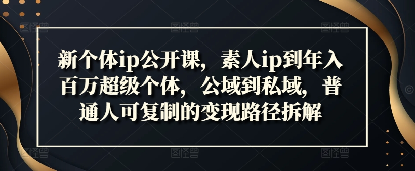新个体ip公开课，素人ip到年入百万超级个体，公域到私域，普通人可复制的变现路径拆解-test