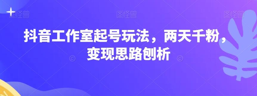 抖音工作室起号玩法，两天千粉，变现思路刨析-test