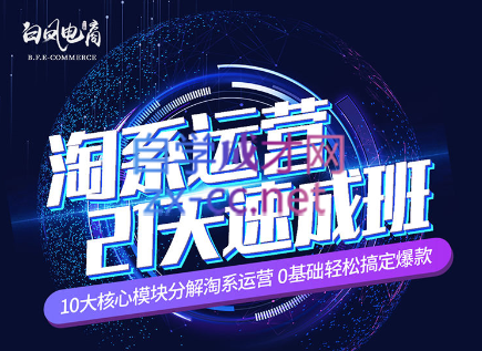 淘系运营21天速成班(更新7月)-test
