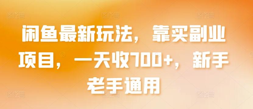 闲鱼最新玩法，靠买副业项目，一天收700+，新手老手通用【揭秘】-test