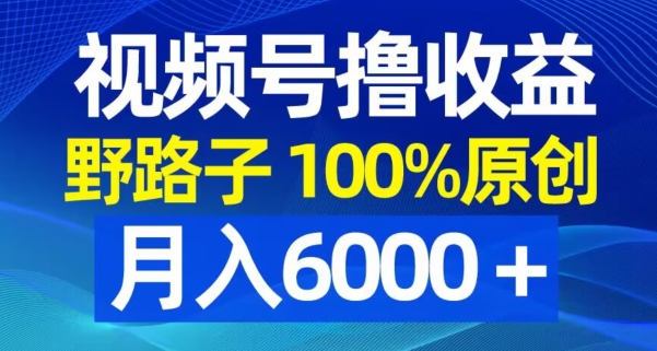 视频号野路子撸收益，100%原创，条条爆款，月入6000＋【揭秘】-test