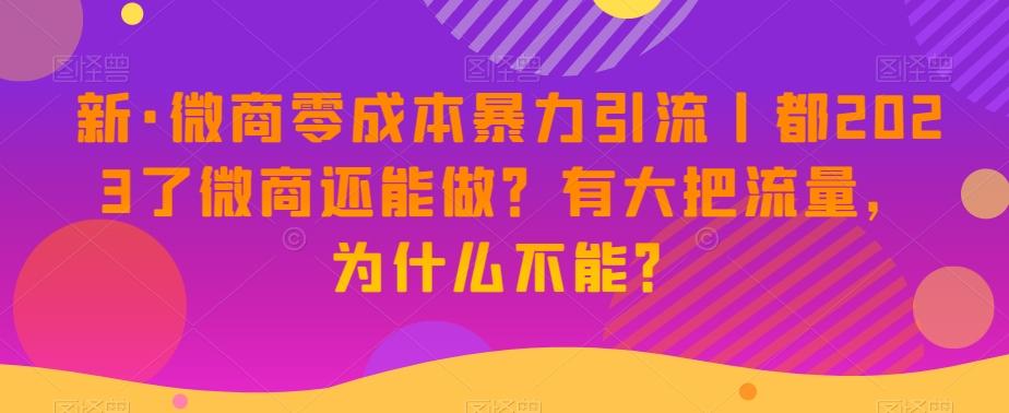 新·微商零成本暴力引流丨都2023了微商还能做？有大把流量，为什么不能？-test