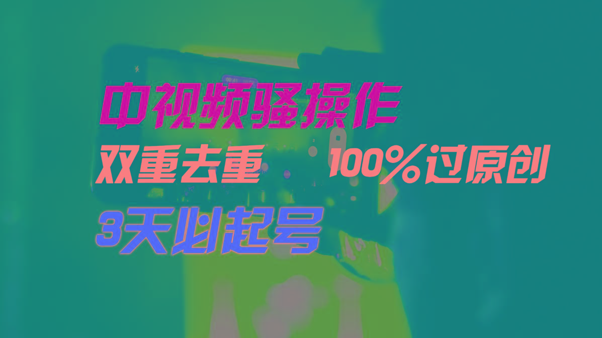 中视频骚操作，双重去重100%过原创，3天比必起号，简单无脑，月入3W+-test