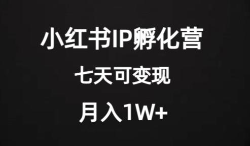 价值2000+的小红书IP孵化营项目，超级大蓝海，七天即可开始变现，稳定月入1W+-test