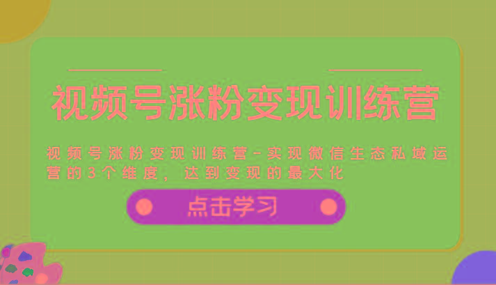 视频号涨粉变现训练营-实现微信生态私域运营的3个维度，达到变现的最大化-test