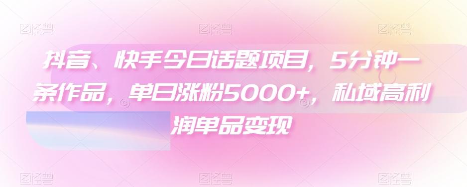 抖音、快手今日话题项目，5分钟一条作品，单日涨粉5000+，私域高利润单品变现-test