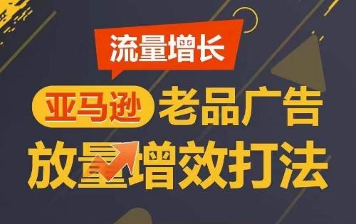 流量增长 亚马逊老品广告放量增效打法，短期内广告销量翻倍-test