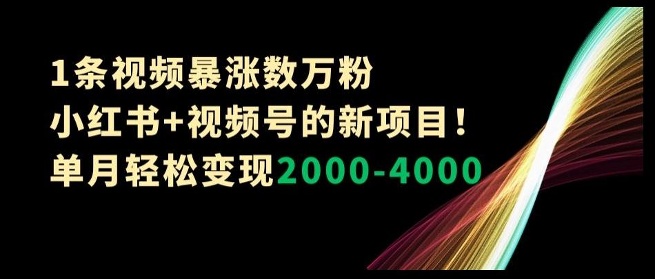 1条视频暴涨数万粉–小红书+视频号的新项目！单月轻松变现2000-4000【揭秘】-test