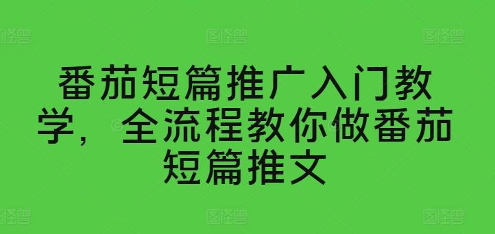 番茄短篇推广入门教学，全流程教你做番茄短篇推文-test