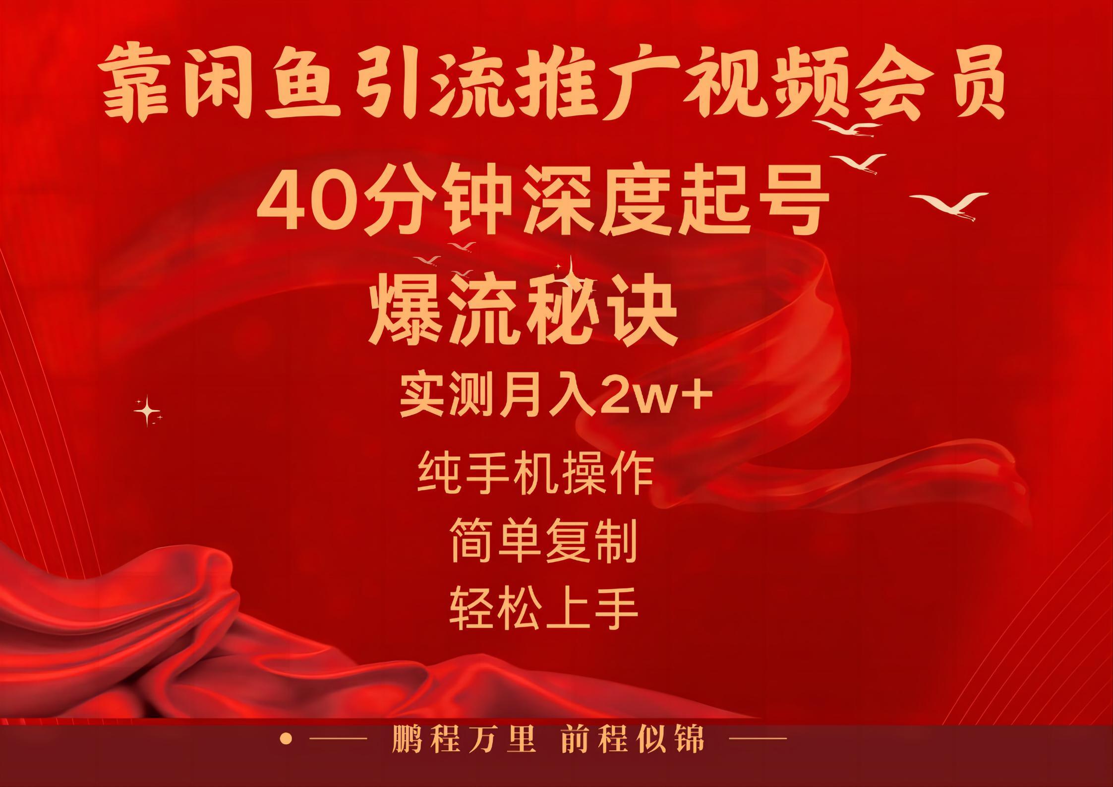 闲鱼暴力引流推广视频会员，能做到日入2W+，操作简单-test