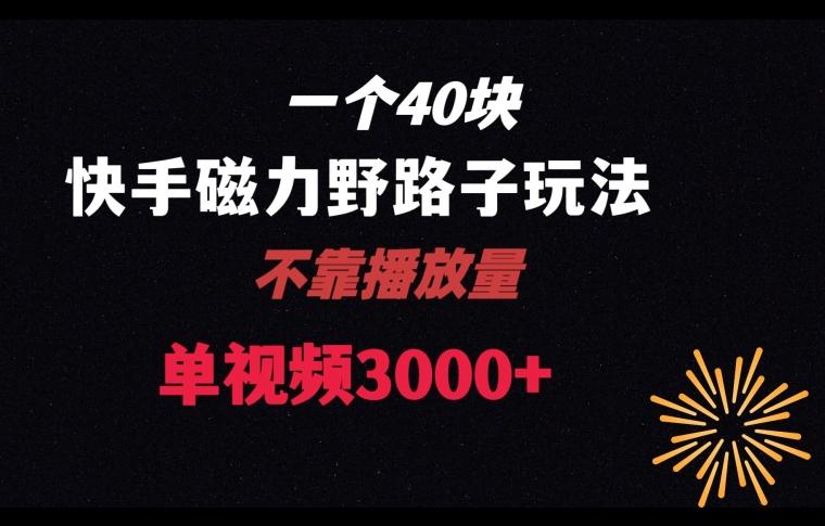 一个40块，快手联合美团磁力新玩法，无视机制野路子玩法，单视频收益4位数【揭秘】-test