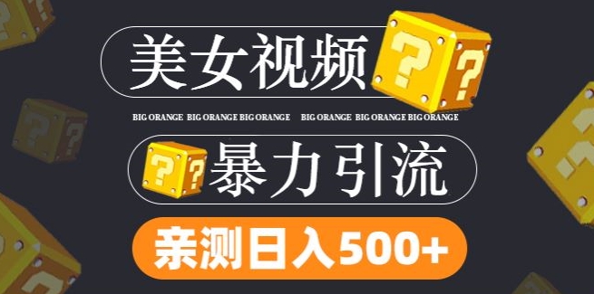 搬运tk美女视频全网分发，日引s粉300+，轻松变现，不限流量不封号【揭秘】-test
