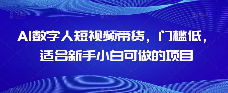 AI数字人短视频带货，门槛低，适合新手小白可做的项目-test