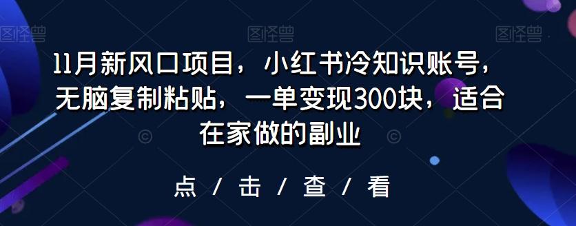 11月新风口项目，小红书冷知识账号，无脑复制粘贴，一单变现300块，适合在家做的副业-test