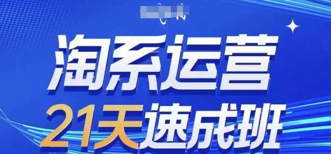 淘系运营21天速成班(更新24年7月)，0基础轻松搞定淘系运营，不做假把式-test
