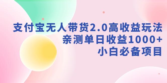 支付宝无人带货2.0高收益玩法，亲测单日收益1000+，小白必备项目-test