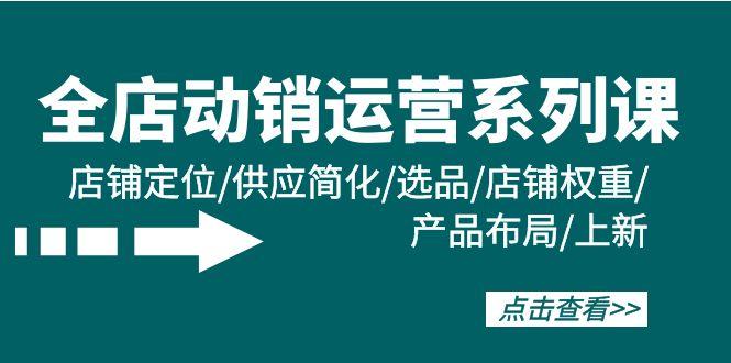 (9845期)全店·动销运营系列课：店铺定位/供应简化/选品/店铺权重/产品布局/上新-test