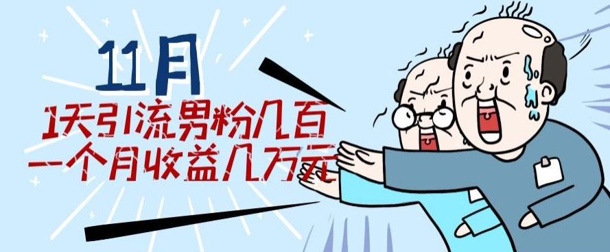 11月最新每天引流男粉300+一个月收益几万元-test