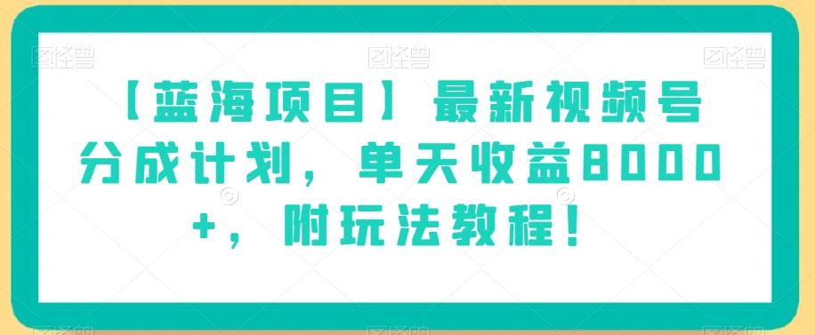 【蓝海项目】最新视频号分成计划，单天收益8000+，附玩法教程！-test