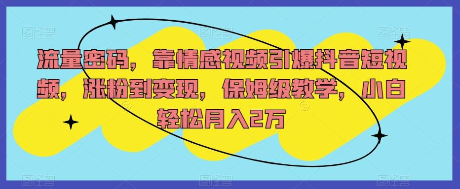 流量密码，靠情感视频引爆抖音短视频，涨粉到变现，保姆级教学，小白轻松月入2万【揭秘】-test