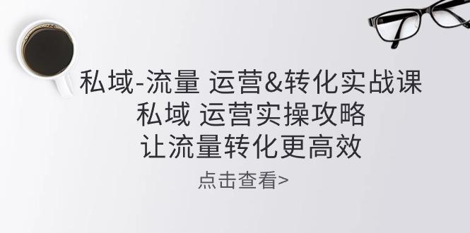 私域-流量 运营&转化实操课：私域 运营实操攻略 让流量转化更高效-test